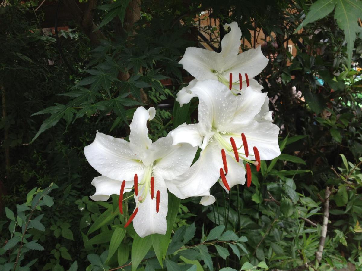 Akiruno Otsu Nature Garden מראה חיצוני תמונה