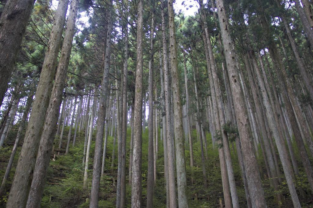 Akiruno Otsu Nature Garden מראה חיצוני תמונה