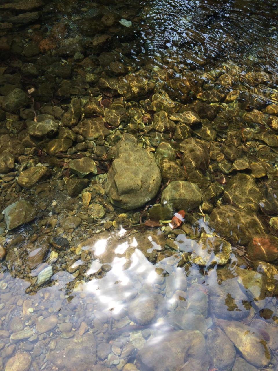 Akiruno Otsu Nature Garden מראה חיצוני תמונה